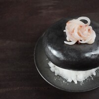 石焼きイカ酒盗