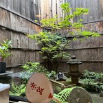 山玄茶 - 初夏の青もみじが目にも鮮やか。小さな坪庭ですが、大将のお気に入りがいっぱい。
