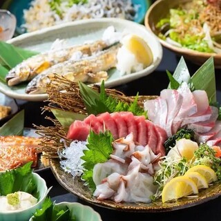 Fish banquet! All-you-can-drink course starts from 4,000 yen - all-you-can-drink for up to 3 hours!