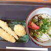 讃岐うどんよろず屋 - 料理写真:ごぼう天、たまご天、ぶっかけ