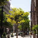 神戸ビーフステーキ 良光 - お店のまわりはこんな感じ♪