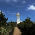 きんこ芋工房 上田商店 灯台カフェ - 