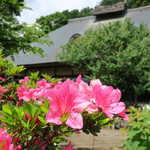 蕎舎 - 以前､訪れた時は６月で･･