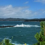 きんこ芋工房 上田商店 灯台カフェ - 