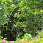 蕎舎 - ツツジや新緑が眩しく、