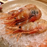 銀座 しのはら - 追加料理の牡丹海老