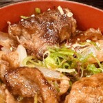 Matsuzakagyuu Teppanyaki Niku Katsura - 
