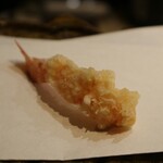 Tempura Sen No Tane - 