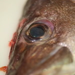 うを徳 - [魚荒](あら)