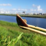 ローソンストア100 川崎砂子一丁目店 - 