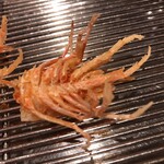 てんぷら 深町 - 