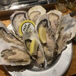 FAST OYSTERS - 