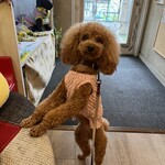 サッカバッカ - 入口でちょーだいポーズｗ