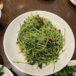 中華料理 餃子の店 三幸園 白山通り店 - 