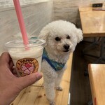 サッカバッカ - 濃厚バナナジュース