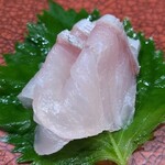 鮨匠 のむら - ⑧勘八幼魚【汐っ子】【背身】(鹿児島県開聞岳沖産、2.5kg、2日寝かせ)
      産卵は春～夏、旬は秋～冬
      若さ故の爽やかな甘さが鮮烈、特に背身の脂は穏やかでスッキリしています