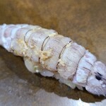 鮨匠 のむら - ㉒蝦蛄(鹿児島県出水産)
      先程まで生きていた茹で立てならではの
      甘み、海老と蟹の間のようなやや濃いめの旨み、シャリが合わさり酢の酸味が存在することでスッと円やかな印象に変わります