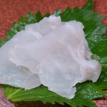 鮨匠 のむら - ⑤九絵【背身】(鹿児島県坊津、4.4kg、4日寝かせ)
      産卵は夏、旬は晩秋～春、10kgで雌→雄へ性転換
      九絵は4日寝かせでも微かなコリ感があり、更に脂もあり旨みと爽やかな甘みがあります