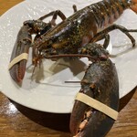 ビストロ ティアボ - 