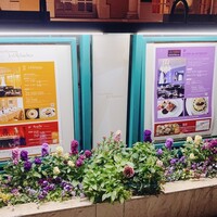 ガストロノミー ジョエル・ロブション - 