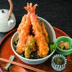 Tendon Gotetsu - 