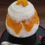 Tennen Kakigoori Koori No Ne - 生マンゴーの独特な風味