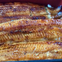 駒形前川 浅草本店 -  駒形前川 浅草本店 -