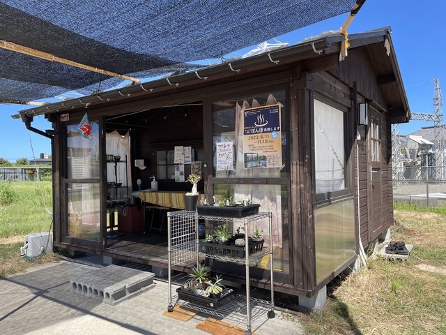 いづみや 公園店 - 藤島（かき氷）の写真