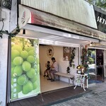 젤라테리아 후룻티