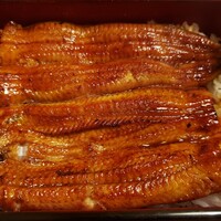 宮川本廛 赤坂宮川 - うな重（は）