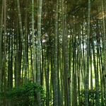 エルルカン・ビス - 