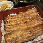 Unagi Kanda Miujinshita Kigawa - 