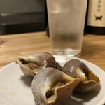 居酒屋ひでじろう - つぶ貝