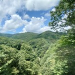 山のレストラン - 窓から見える霧降の滝
