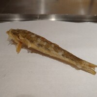 京都祇園 天ぷら圓堂 大丸心斎橋店 - モロコ