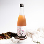 ● Houou Mida Aged Treasure Plum Wine