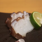 こころや - 地だこ