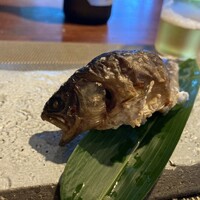 飛騨季節料理 肴 - 