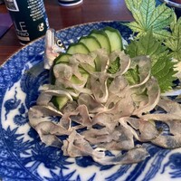 飛騨季節料理 肴 - 