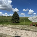 美瑛放牧酪農場 - 