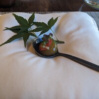 SPICE LAB TOKYO - 