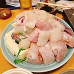 Kikuchi - 