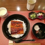 Seiryuu Unagi Tsukishima - 