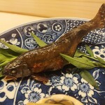 はらまさ - 泳いでます