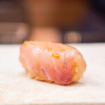 鮨 冨味 - 甘鯛の昆布締め