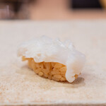 鮨 冨味 - 白烏賊