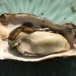 中山牡蠣養殖所 - 