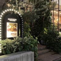 マディソン ニューヨーク キッチン - 