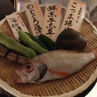魚の中俣 銀座 - 