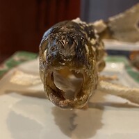 柳家 - 